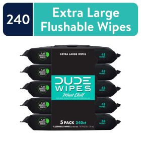 DUDE Wipes Flushable Wipes, XL Wet Wipes for At Home Use, Mint Chill, 48 Count, 5 Pack